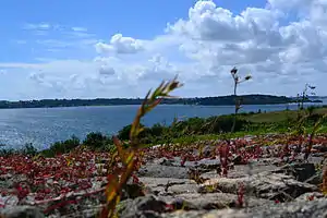 premier plan de pierres et de végétation, séparé par la mer de côtes en arrière-plan