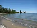 Plage avec plusieurs espèces d'arbres de la taïga.