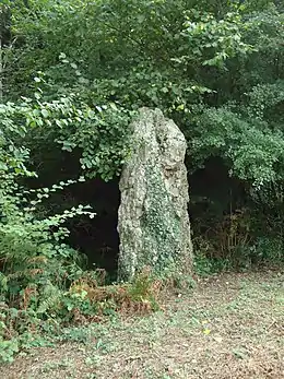 Le menhir du Perray.