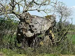 Image illustrative de l’article Dolmen de Peyre Nègre