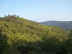 Forêt méditerranéenne en direction du « vallon de Christol » vers Mirabeau.