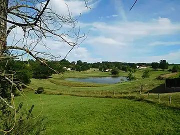 L'étang en contrebas de l'église de Beaupouyet.