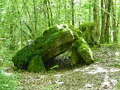 Le dolmen de la Pierre Levée.