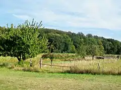 Lisière de la Forêt d'Halatte, au hameau de la Croix Rouge