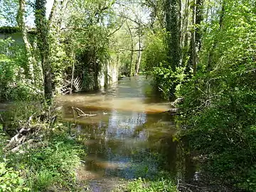 La Beauronne au pont de la RD 3, en limite de Saint-Louis-en-l'Isle (à gauche) et Saint-Front-de-Pradoux.