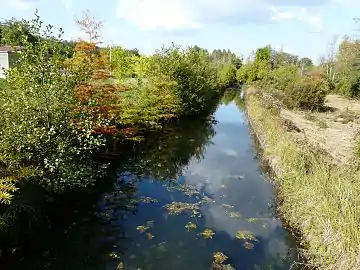 La Beauronne à Maine Moulin.