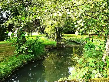 La Beauronne dans le parc du château de Bassy.