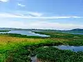 Lac fluvial, près de la capitale économique Guwahati (2016)