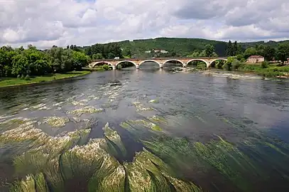 La Dordogne au pont de Saint-Cyprien, entre Berbiguières, à gauche, et Saint-Cyprien.
