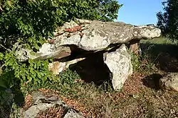 Image illustrative de l’article Dolmen des Mollières