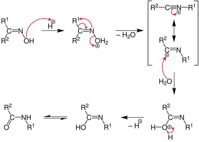 Réarrangement d'une cétoxime R1(CNOH)R2 en amide R2CONHR1.