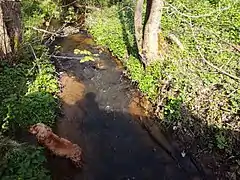 Becque d'Hardelot au niveau du petit pont avenue des bois