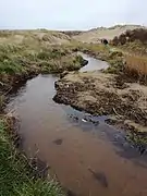 Au niveau du gué juste avant la plage