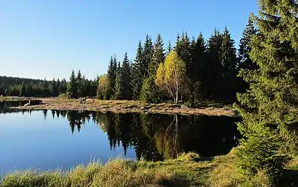 Réservoir de Bedřichov.