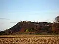 Beeston Castle, ici vu depuis le sud, est construit sur une hauteur rocheuse située à 110 m au-dessus de la plaine du Cheshire.