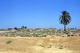 Behbeit El-Hagara