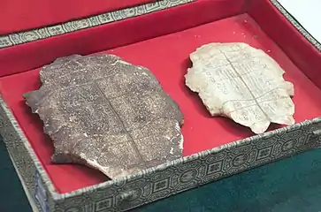 Carapace de tortue datant de la dynastie Shang (-XVIe siècle — -XIe siècle) comportant de l'écriture ossécaille, provenant d'Anyang