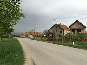 Belanovce (Leskovac)