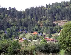 Résidences au milieu des sapins.