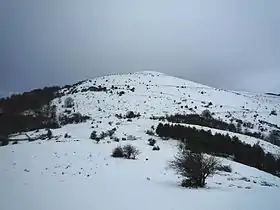 Sommet du Belchou (1 130 m) sous la neige depuis Othamonho (762 m)