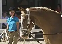 Tête de profil d'un cheval alezan aux crins lavés, harnaché pour la voltige, sa longeuse étant visible en arrière-plan.