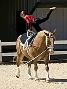 Une jeune fille exécute une figure de voltige, une jambe en l'air, sur un cheval alezan au pas tenu en longe.