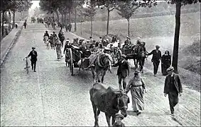 Photo en noir et blanc présentant une route que descendent des hommes et des chevaux attelés ou en main.