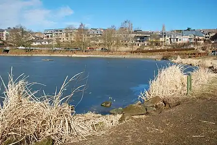 Les eaux gelées de la pointe nord du lac.