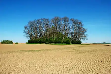 Le tumulus d'Hottomont.