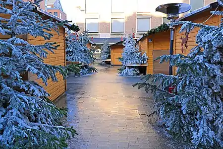 Louvain-la-Neige sur la place de l'Université.