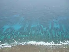 Barrière de corail aérienne