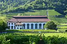 Bâtiment blanc aux grandes vitres au milieu de vignes.