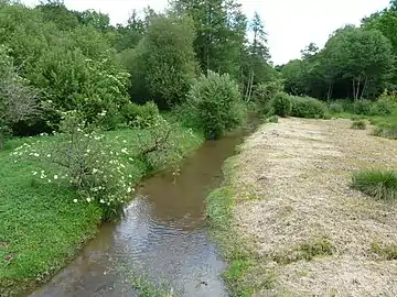 Le ruisseau des Belles-Dames juste en amont de la papeterie de Vaux.