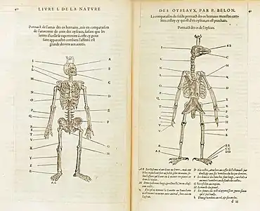 Reproduction de planches