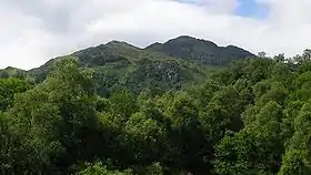 Le Ben Venue et la forêt d'Achray