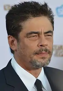 Benicio del Toro en 2014.
