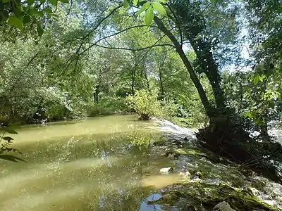 2015 : Vue de la petite cascade sur la Bénovie à Buzignargues.