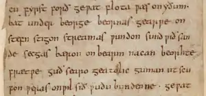 Portion de Beowulf (viie siècle) avec la forme du g insulaire pour la lettre g.