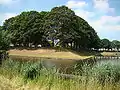 Demi-bastion de l'ouvrage à couronne de Klundert.