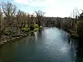 Berges de l'Agoût, une nature verdoyante au cœur du centre-ville de Castres.