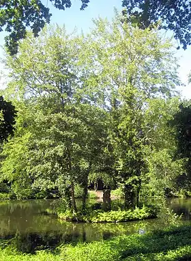 L'île Rousseau avec la colonne commémorative