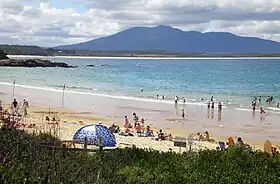 Bermagui