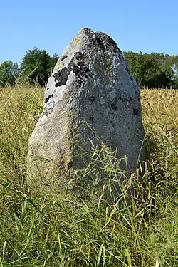 Image illustrative de l’article Menhirs de la Frébouchère