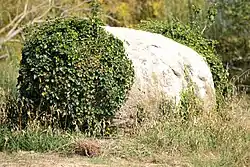 Image illustrative de l’article Menhir du Grand-Plessis