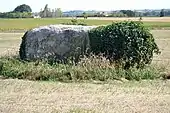 Menhir du Grand-Plessis