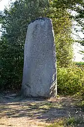 Petit menhir du Plessis