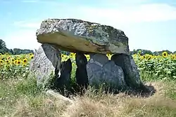 Image illustrative de l’article Dolmens de la Betoulle