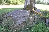 Dolmen de la Betoulle n°3