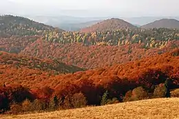 Yavorivskyi National Nature Park.jpg