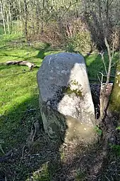 Menhir de Tréveron